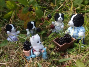 “Blackberry crumble tonight." The Cedar Terrace third prize went to Rachael Scott