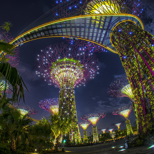 Championing design of Gardens by the Bay