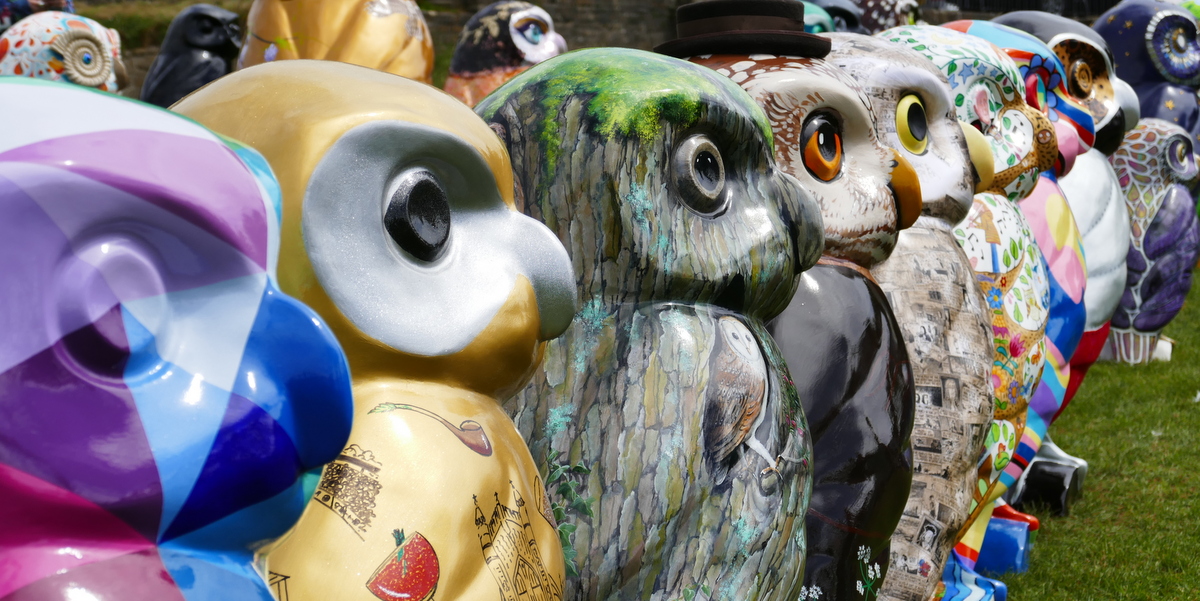 Minerva’s Owls of Bath Sculptures Unveiled