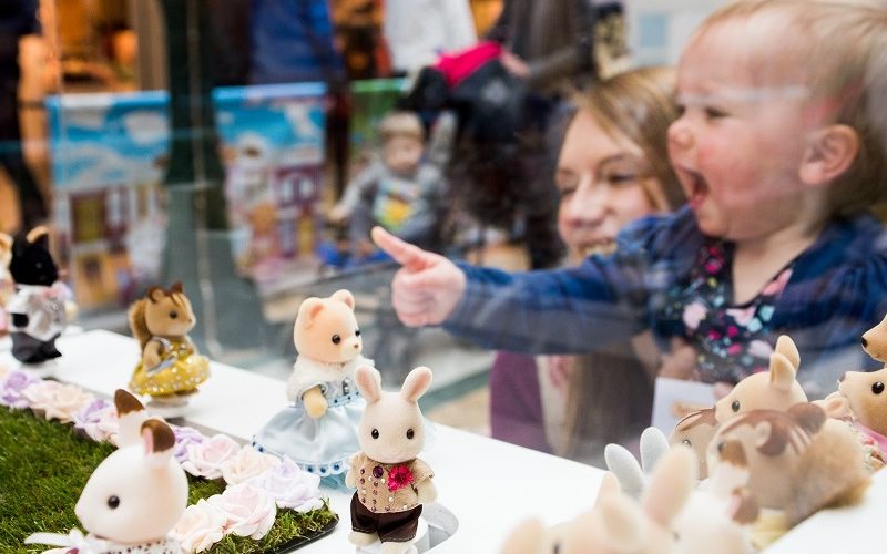 Sylvanian Families roadshow wins top prize in retail awards