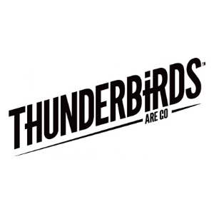 Thunderbirds logo