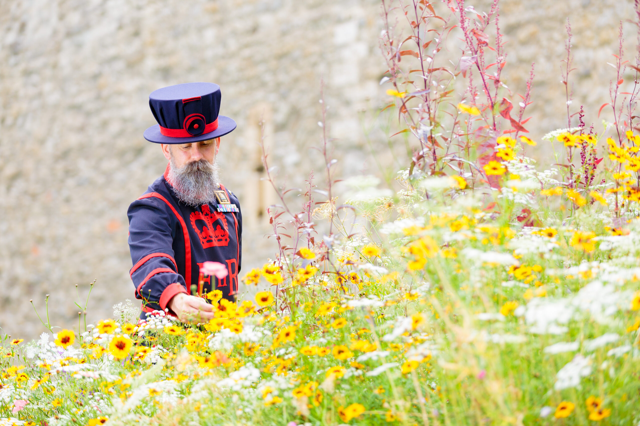 Grant Associates to create ‘Superbloom’ at Tower of London for Queen’s Jubilee